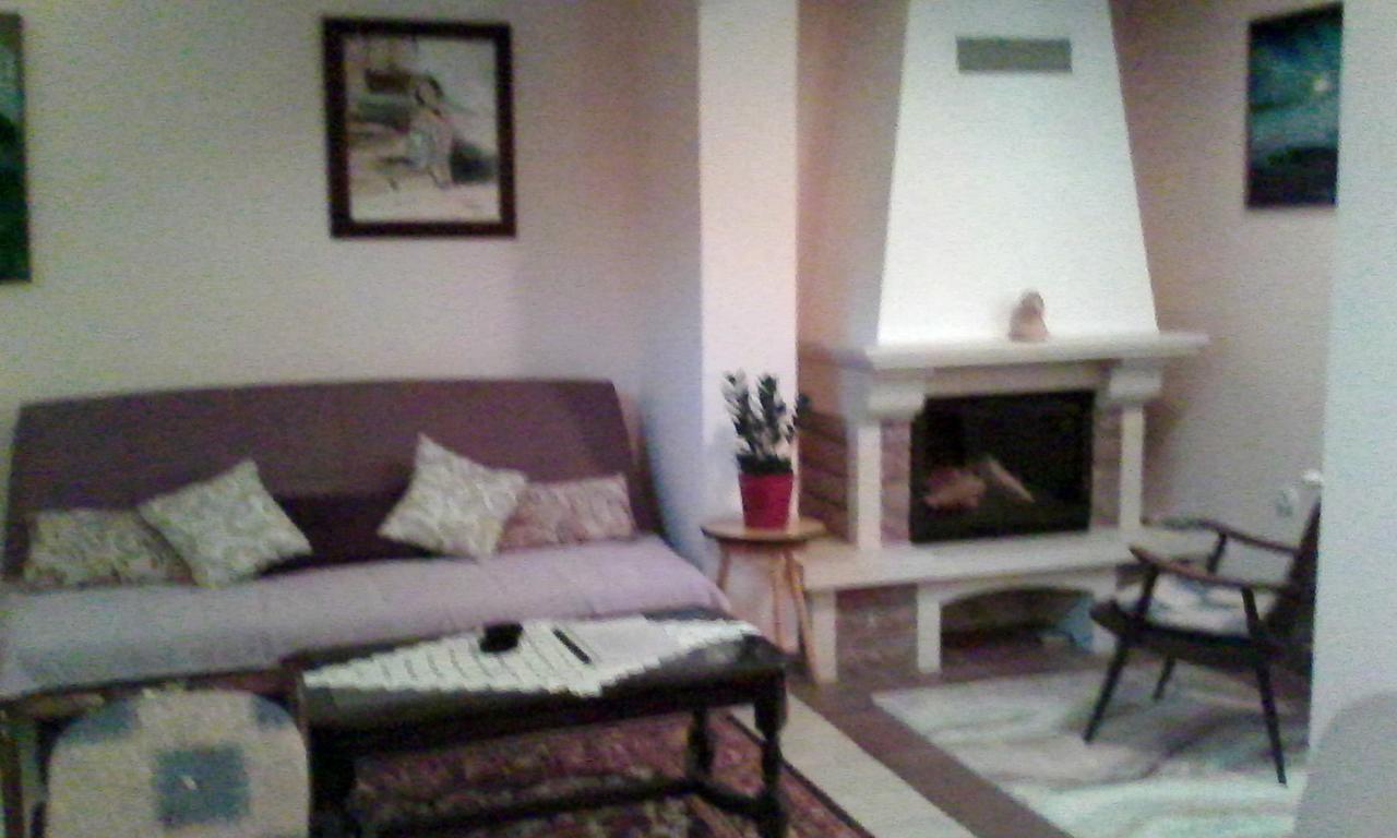 Appartement Skriveni Raj à Vrdnik Extérieur photo