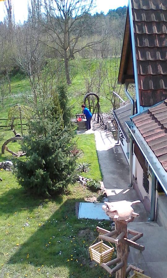 Appartement Skriveni Raj à Vrdnik Extérieur photo