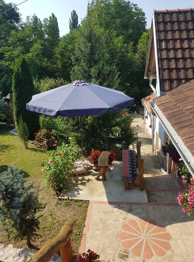 Appartement Skriveni Raj à Vrdnik Extérieur photo