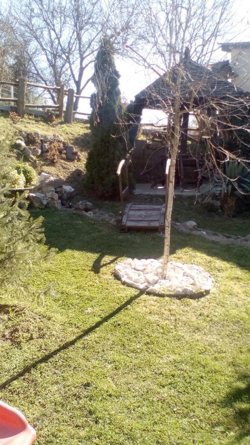 Appartement Skriveni Raj à Vrdnik Extérieur photo