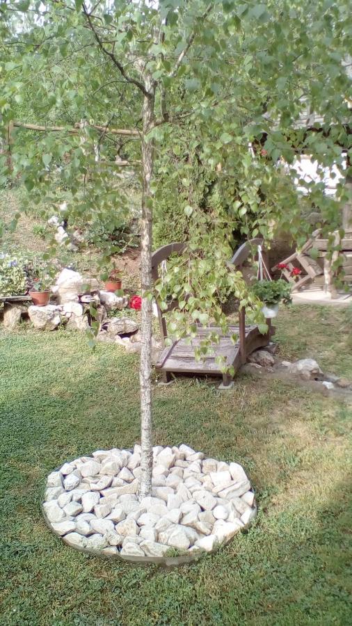 Appartement Skriveni Raj à Vrdnik Extérieur photo