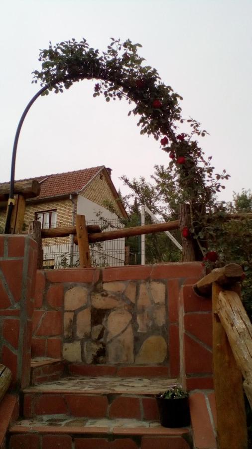 Appartement Skriveni Raj à Vrdnik Extérieur photo